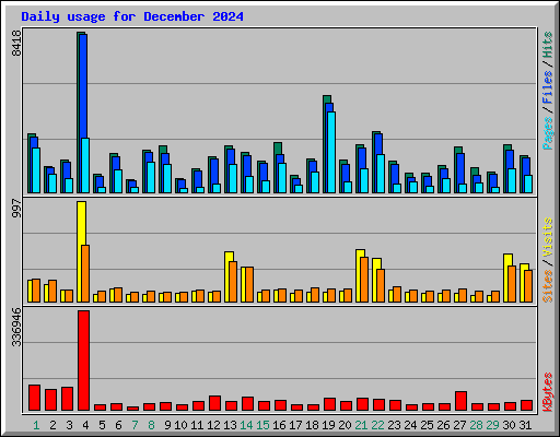 Daily usage for December 2024