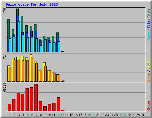 Daily usage for July 2025