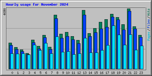 Hourly usage for November 2024