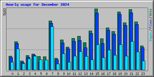 Hourly usage for December 2024