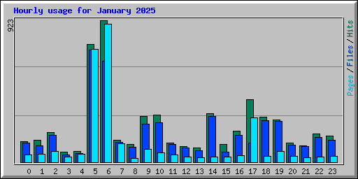 Hourly usage for January 2025