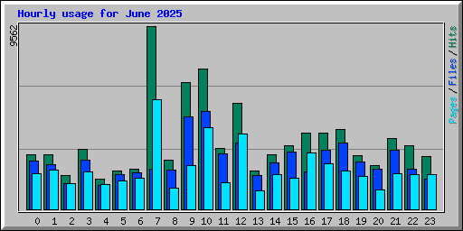 Hourly usage for June 2025
