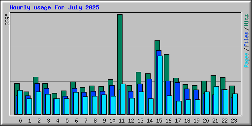 Hourly usage for July 2025
