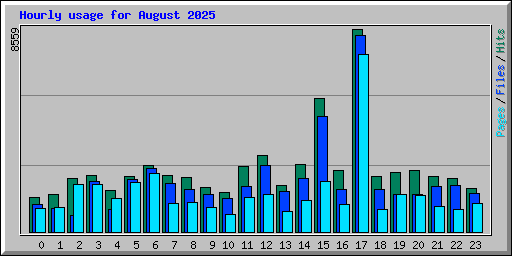 Hourly usage for August 2025