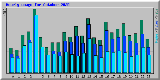 Hourly usage for October 2025