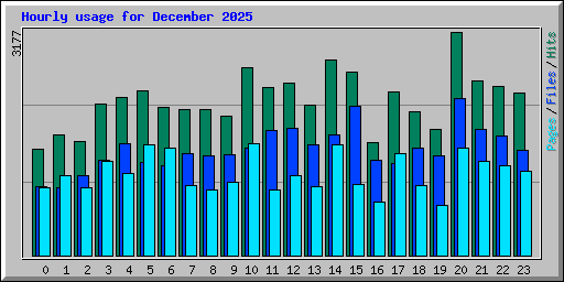 Hourly usage for December 2025