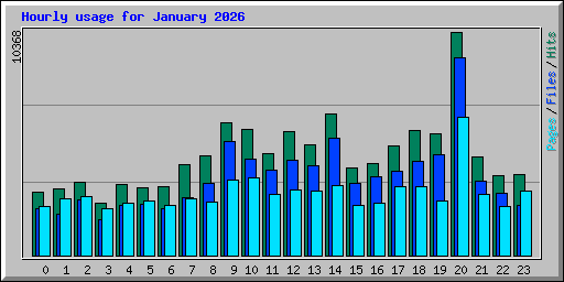 Hourly usage for January 2026