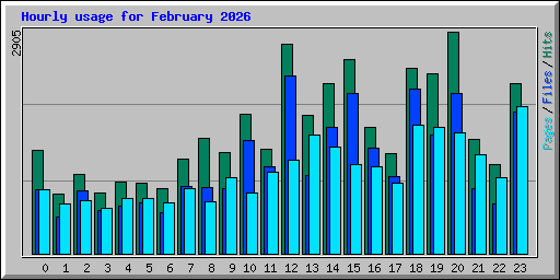 Hourly usage for February 2026