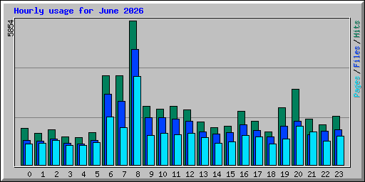 Hourly usage for June 2026