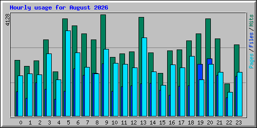 Hourly usage for August 2026
